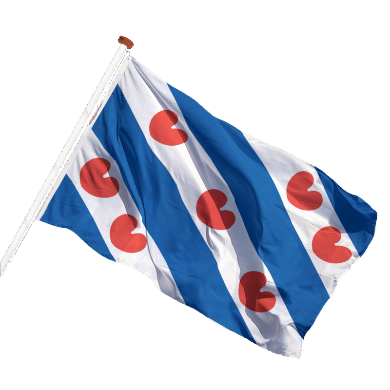 Provincievlaggen - Afbeelding 2