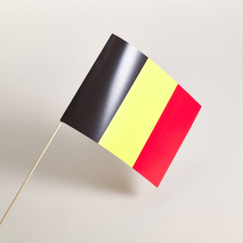 Zwaaivlaggetjes met print - Afbeelding 2