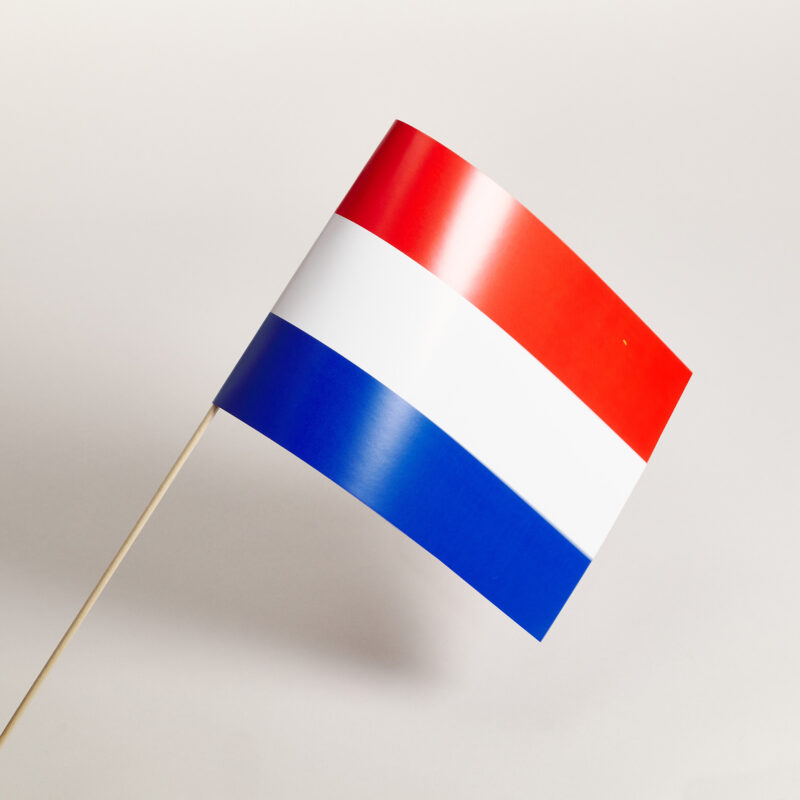 Zwaaivlaggetjes met print